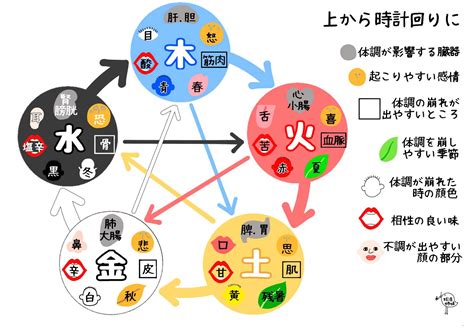 皮膚五行|陰陽五行説と東洋医学の関係を解説！体質改善や美容。